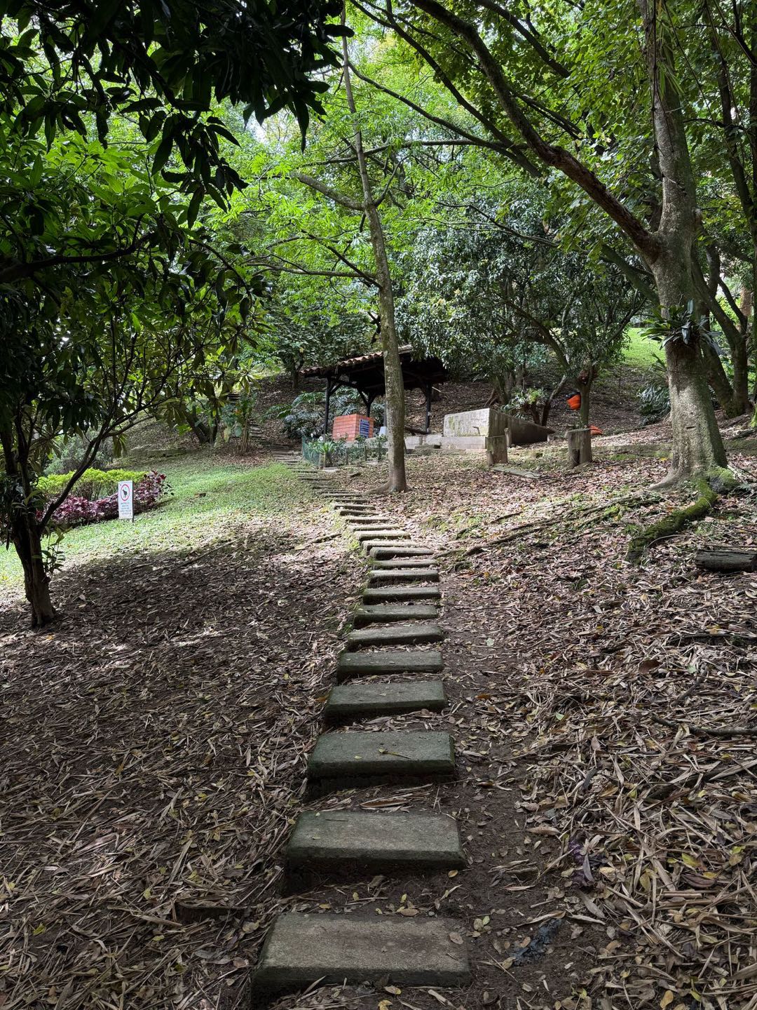 Apartamento en arriendo en la loma del indio