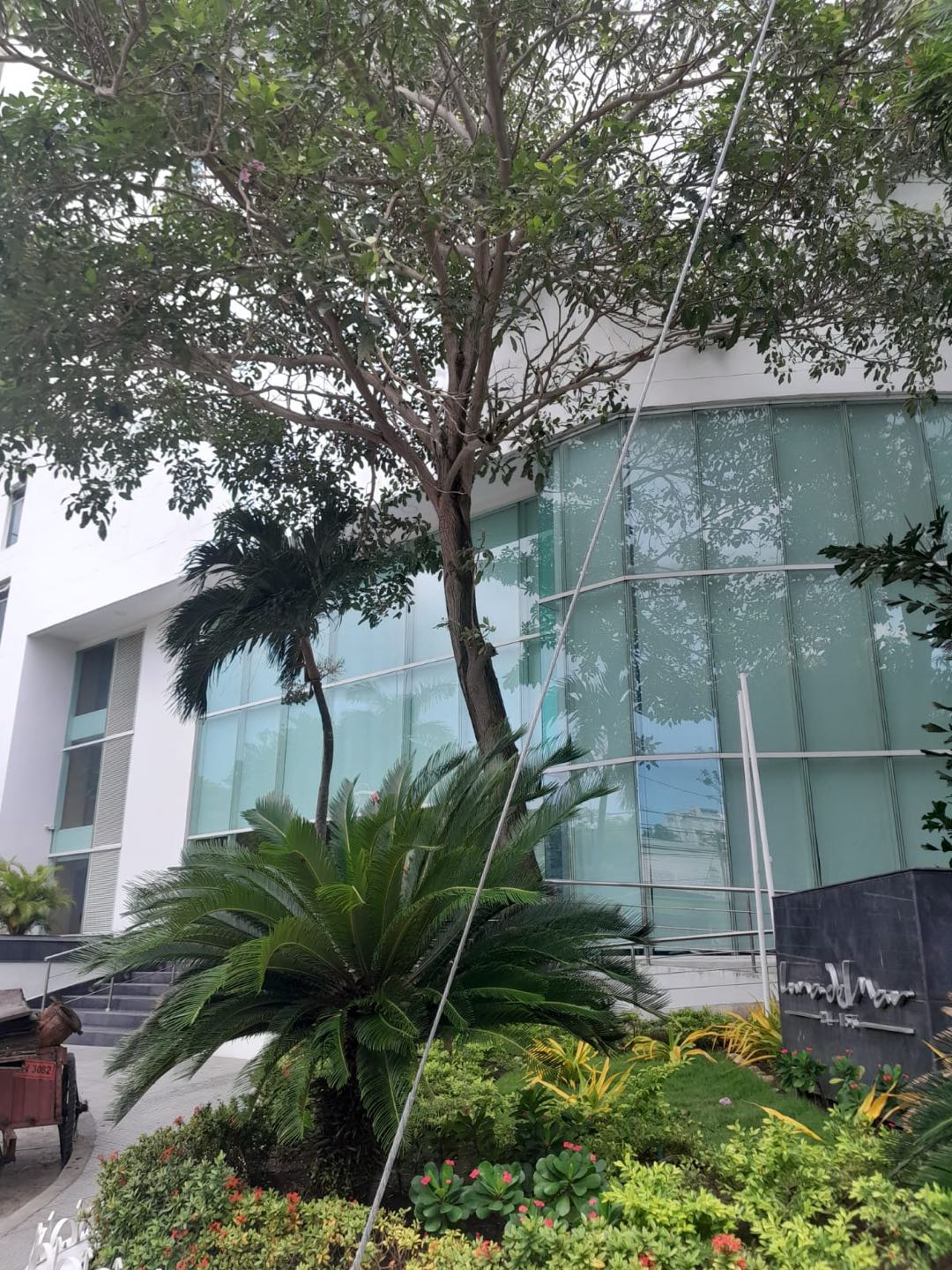 APARTAMENTO EN ARRIENDO EN MANGA - CARTAGENA