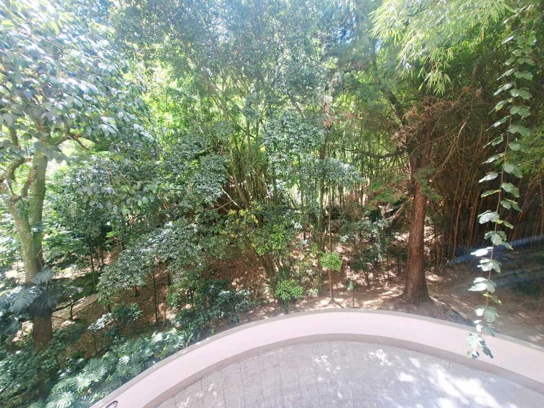 Apartamento en arriendo Envigado unidad cerca a la Intermedia SP