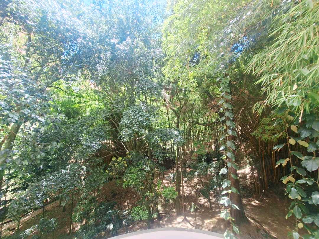 Apartamento en arriendo Envigado unidad cerca a la Intermedia SP