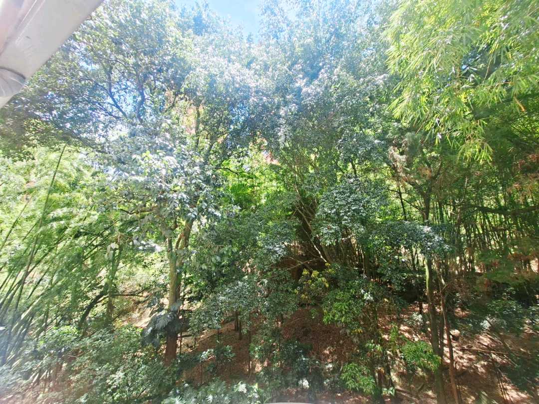 Apartamento en arriendo Envigado unidad cerca a la Intermedia SP