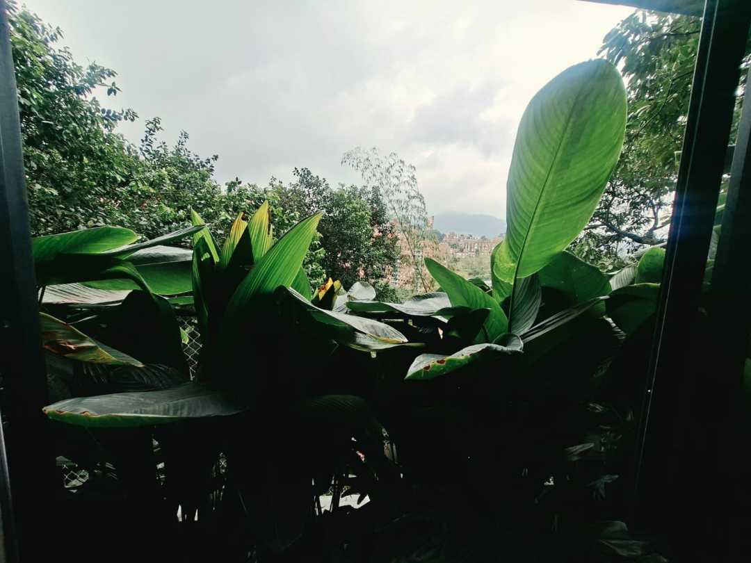 Apartamento en arriendo Envigado Loma del Esmeraldal