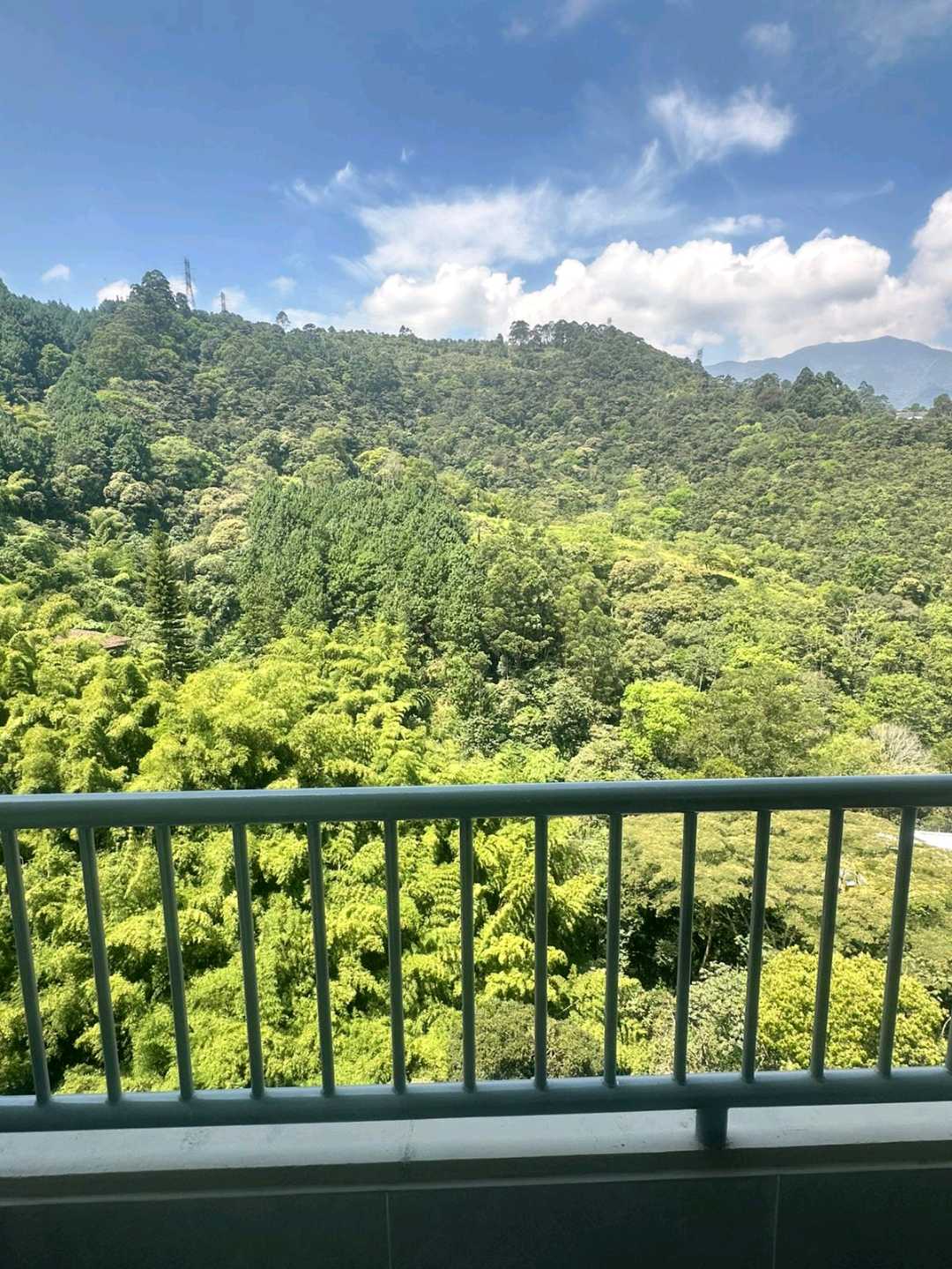 Apartamento en arriendo Sabaneta vista reserva AC4