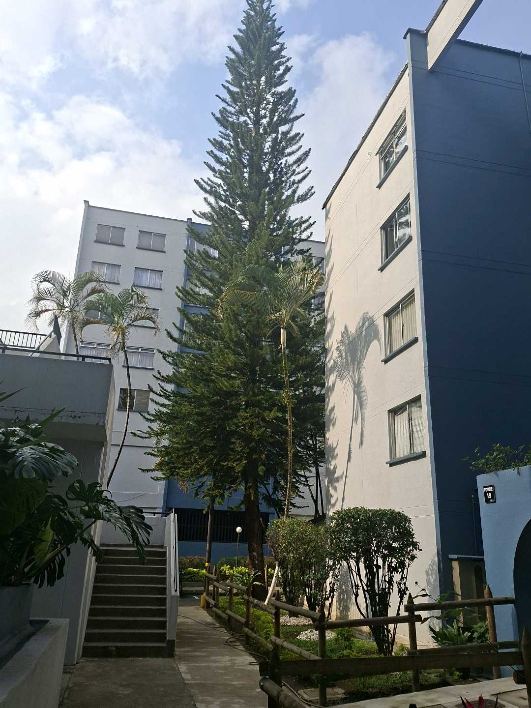 Apartamento en arriendo Zuñiga