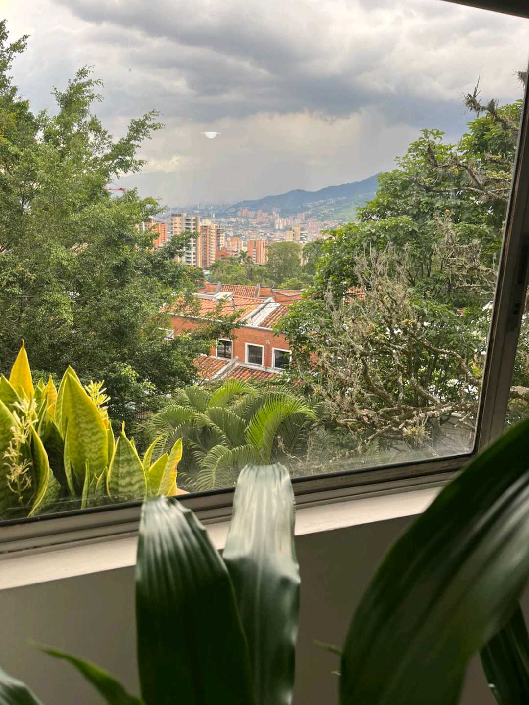 Apartamento en venta Poblado cerca a las Palmas y Castropol