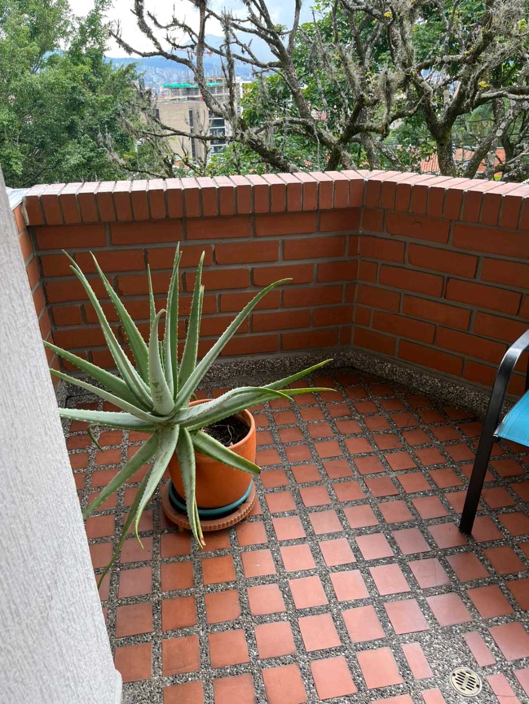 Apartamento en venta Poblado cerca a las Palmas y Castropol
