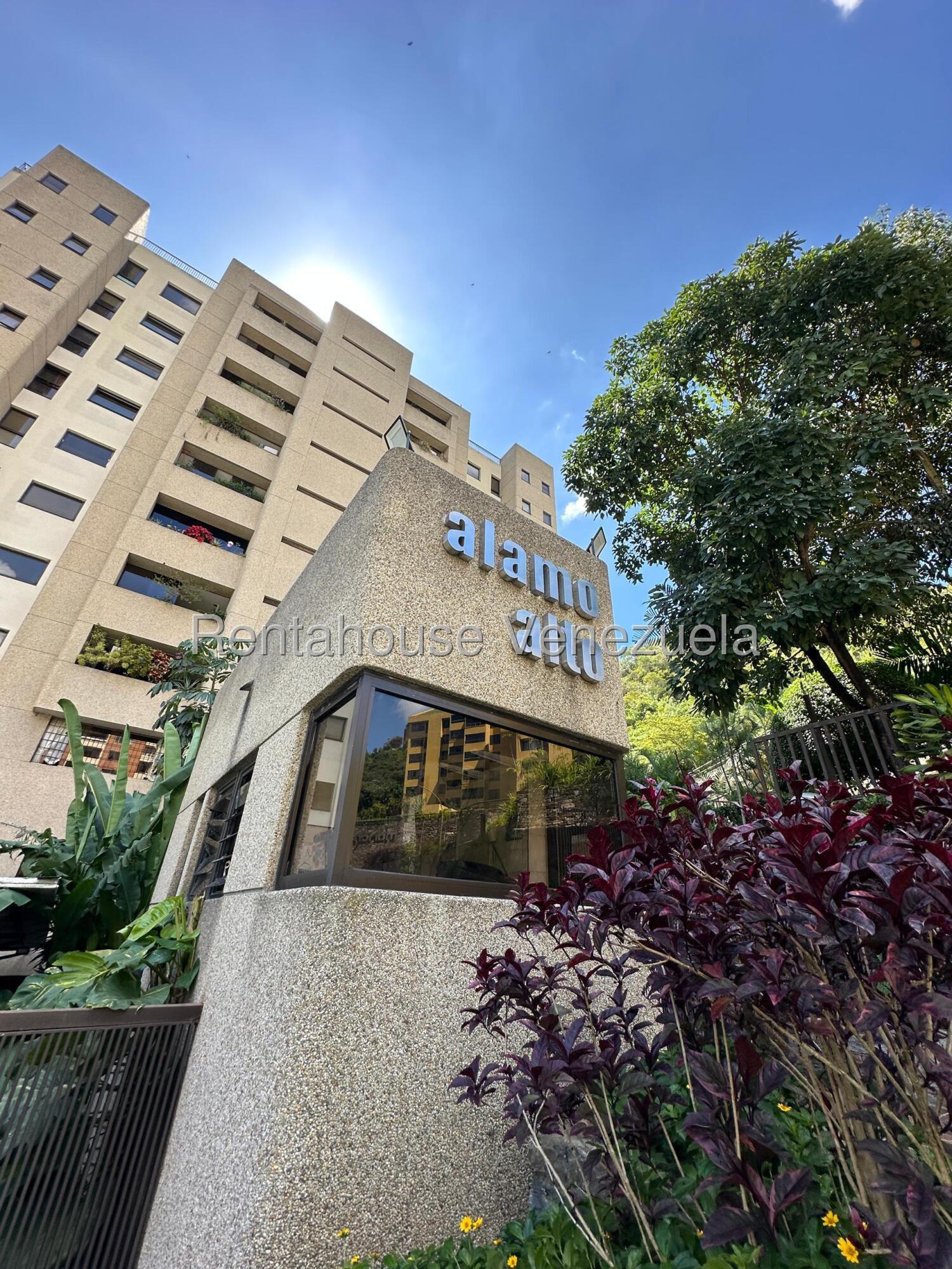 Apartamento - La Alameda - Caracas