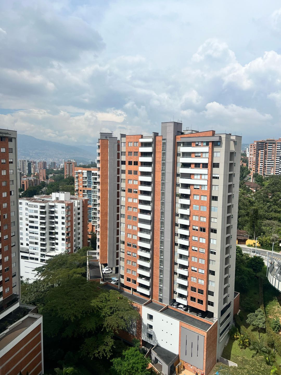 Miniatura 11