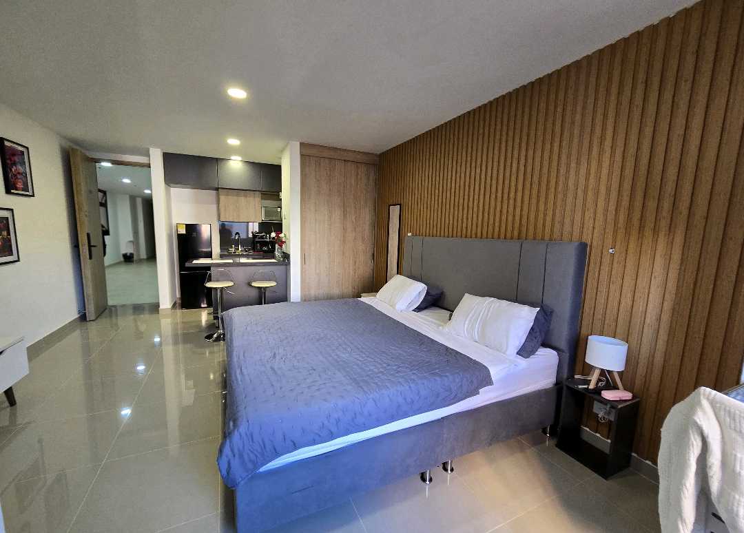 Arriendo apartaestudio tipo loft amoblado sector laureles