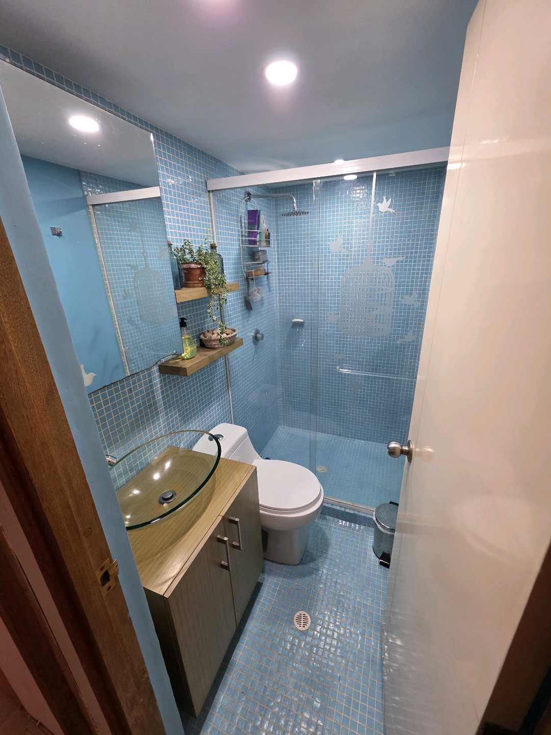 Arriendo apartamento san diego