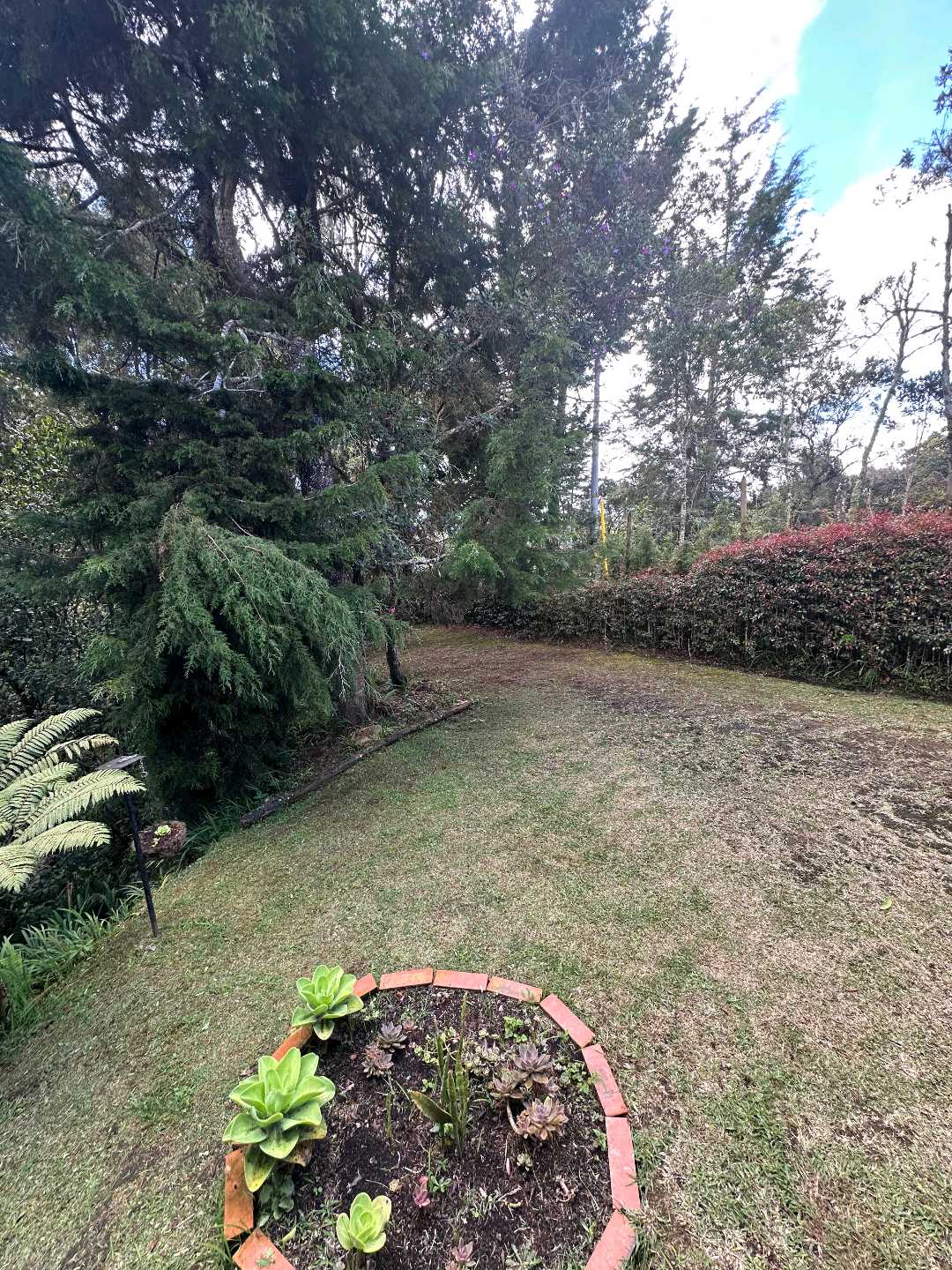 Arriendo casa santa elena