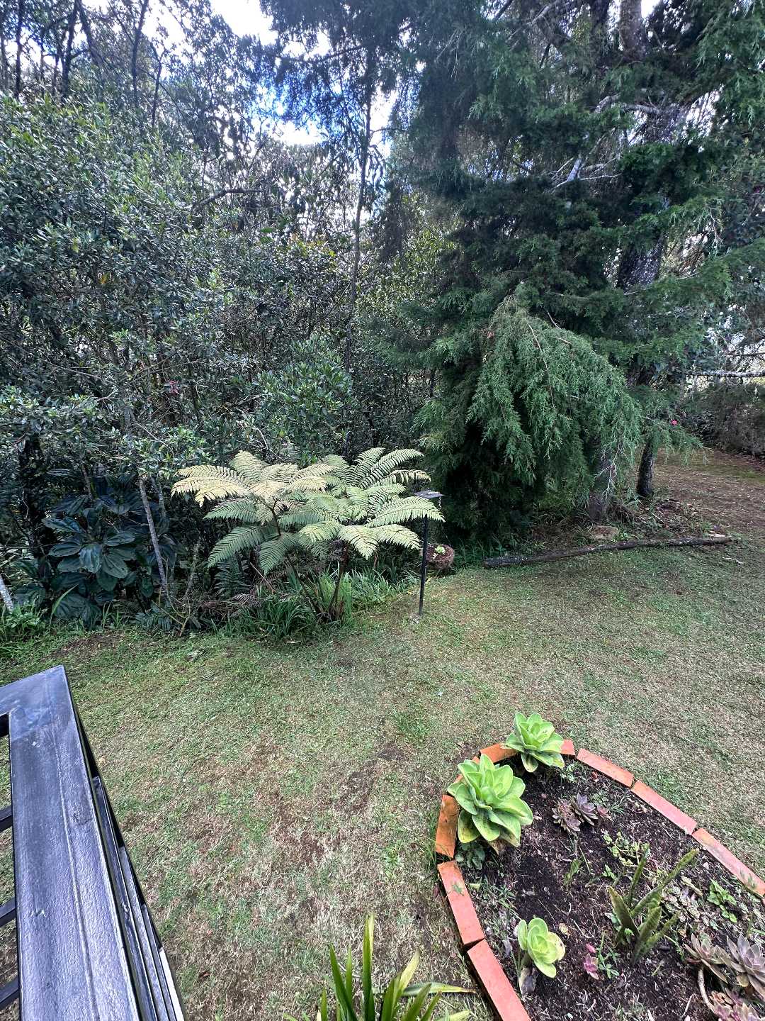 Arriendo casa santa elena