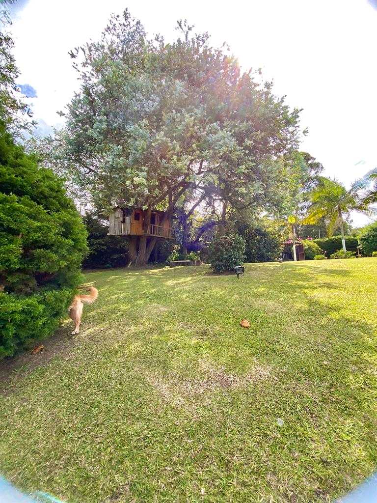 Arriendo finca en llano grande