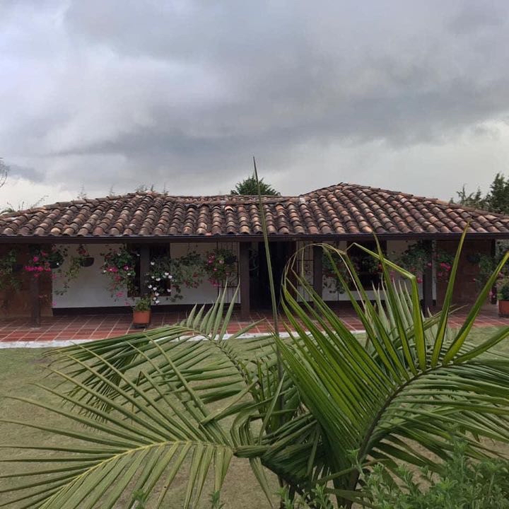 Miniatura 11