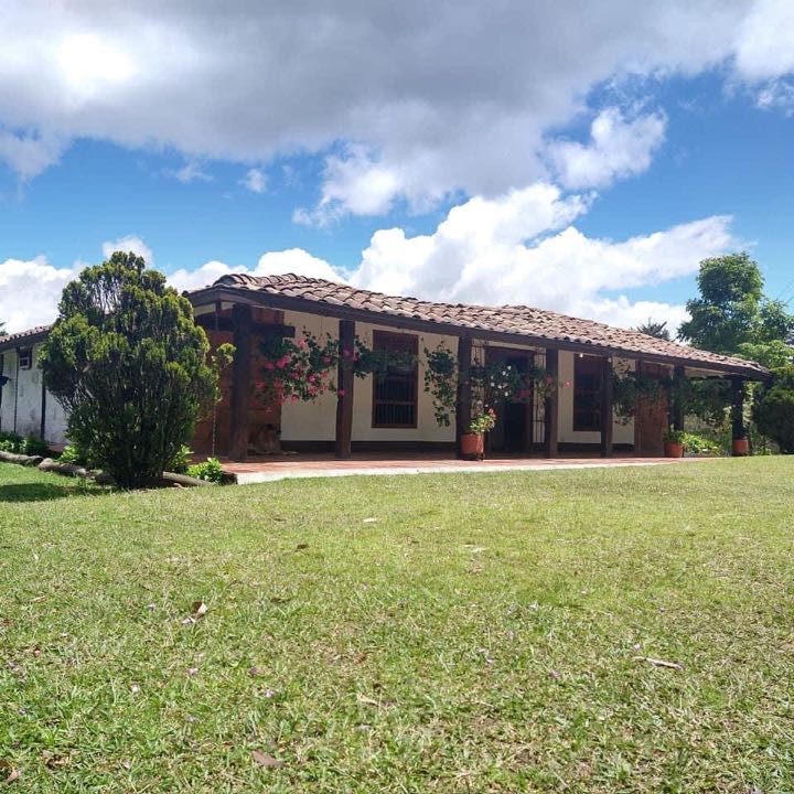 Miniatura 14