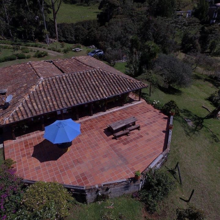 Miniatura 17