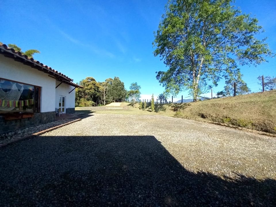 Miniatura 15