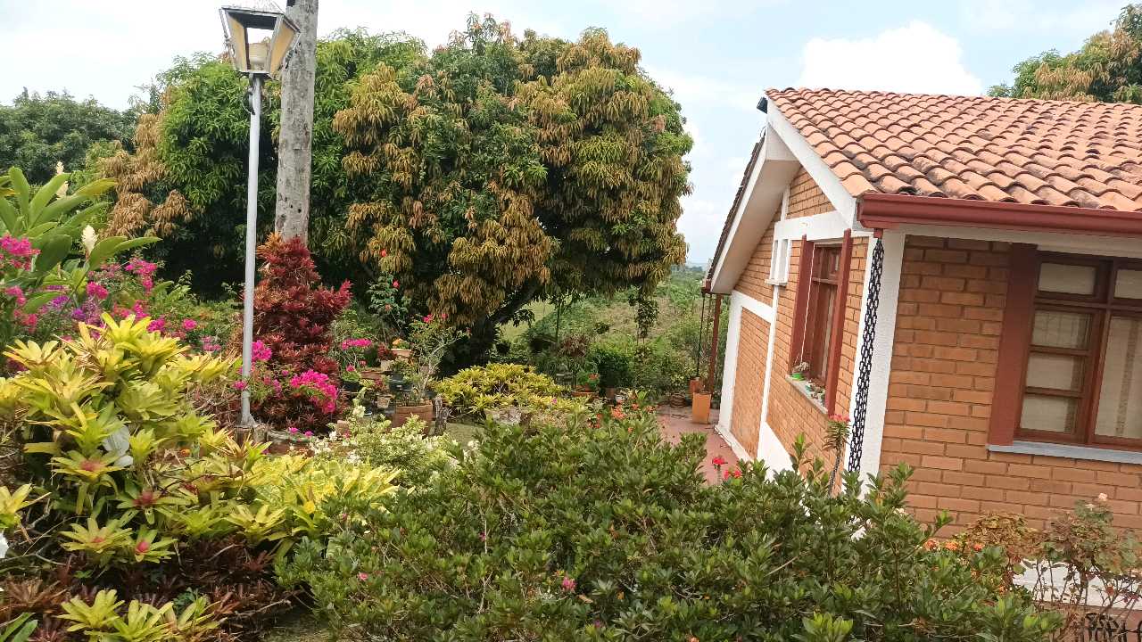 Foto 3