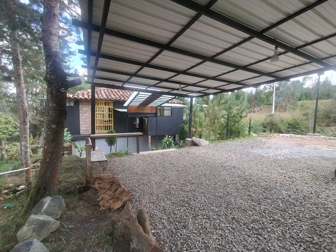 Miniatura 21
