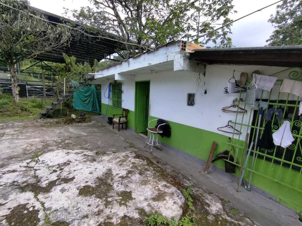 Miniatura 22