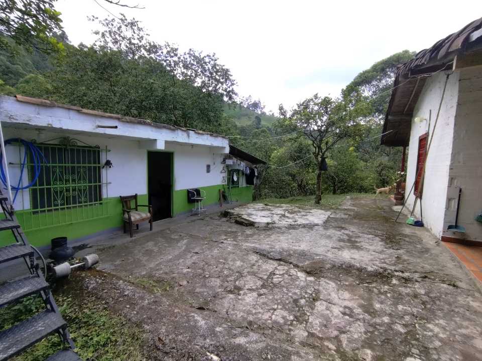 Miniatura 23