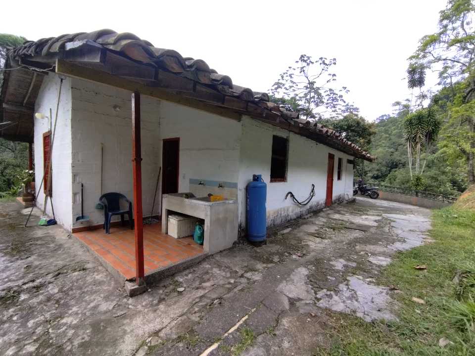 Miniatura 24