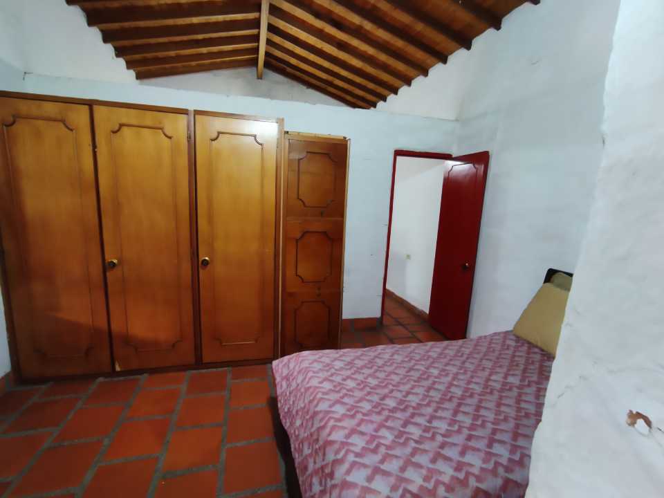 Miniatura 29