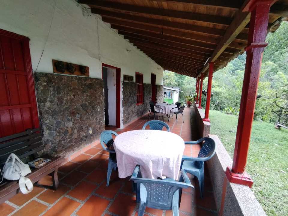 Miniatura 32