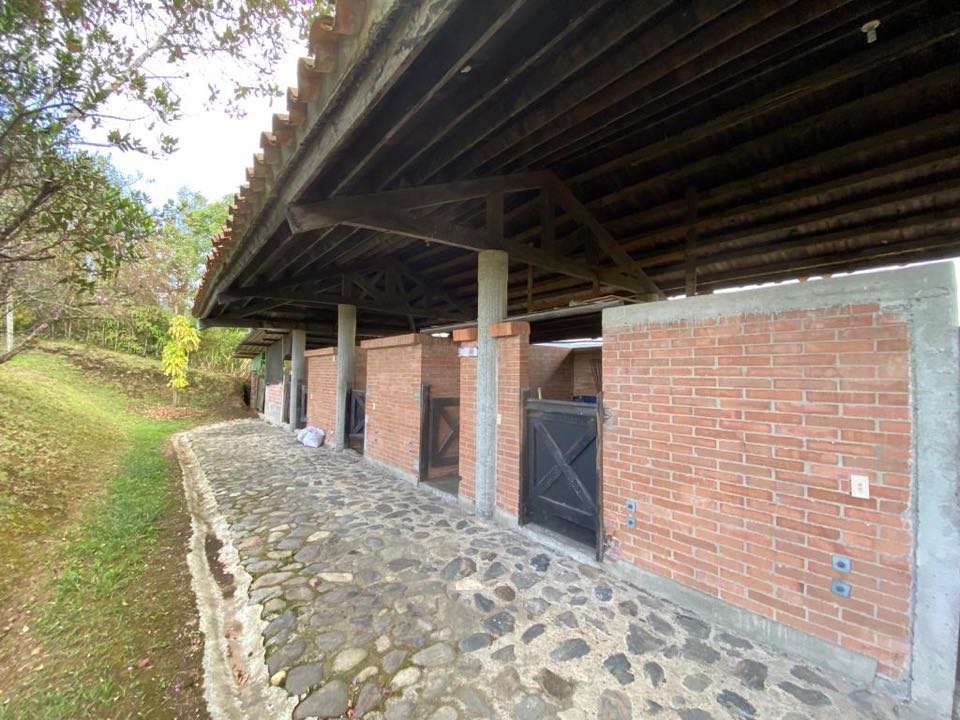 Miniatura 16