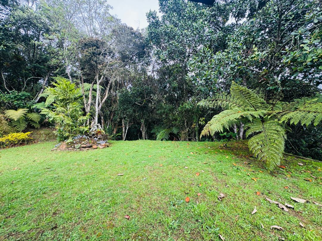 Casa moderna en el Alto de las Palmas