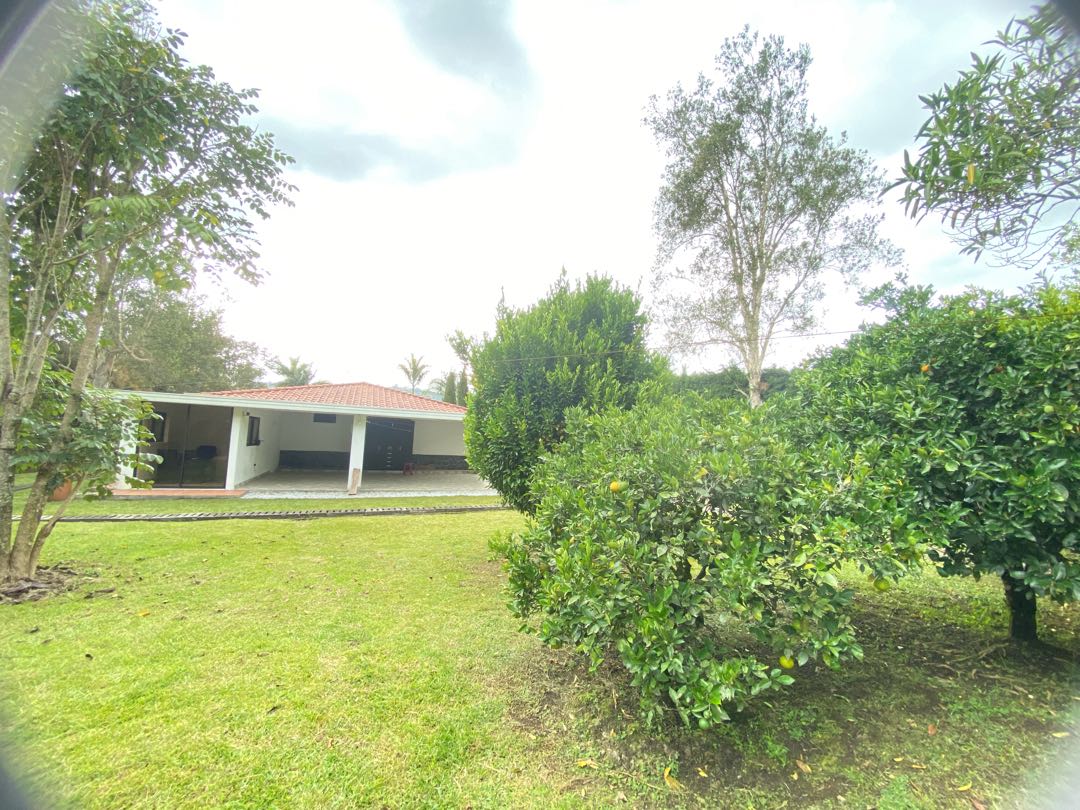 Miniatura 22