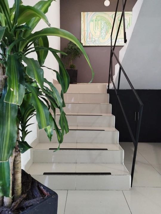 Miniatura 17
