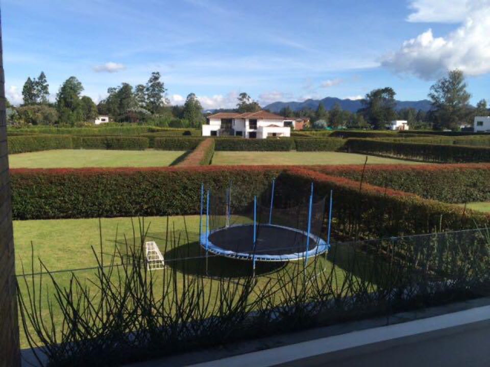 Miniatura 13