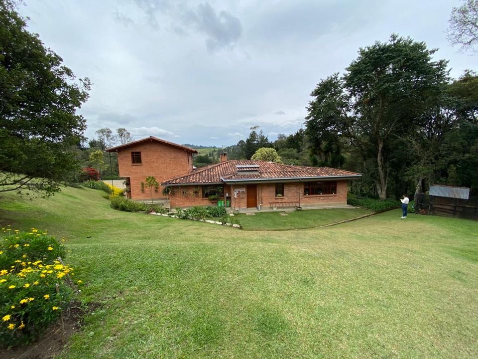 Miniatura 13