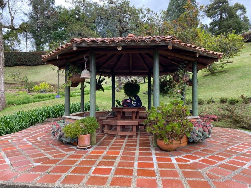 Miniatura 15
