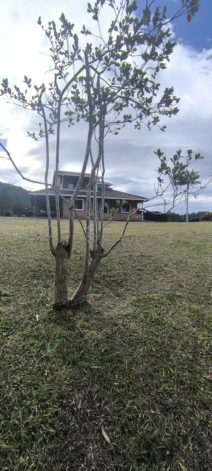 Casas en campestre en arriendo Escobero
