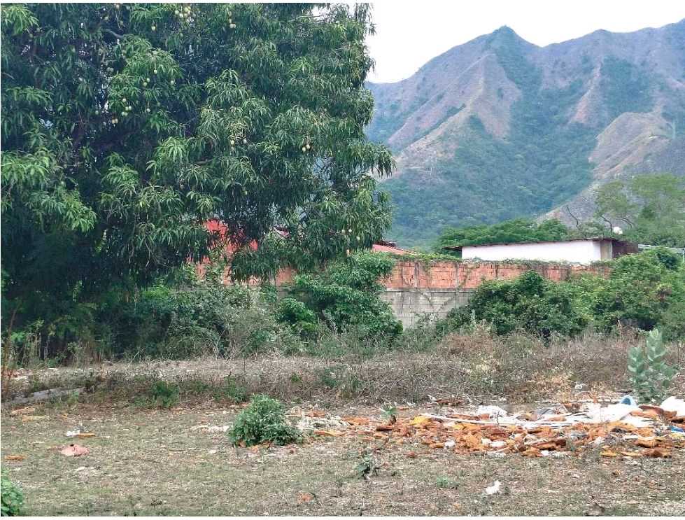 Terreno en Venta en Yagua Guacara FH-9325732 - Foto 6