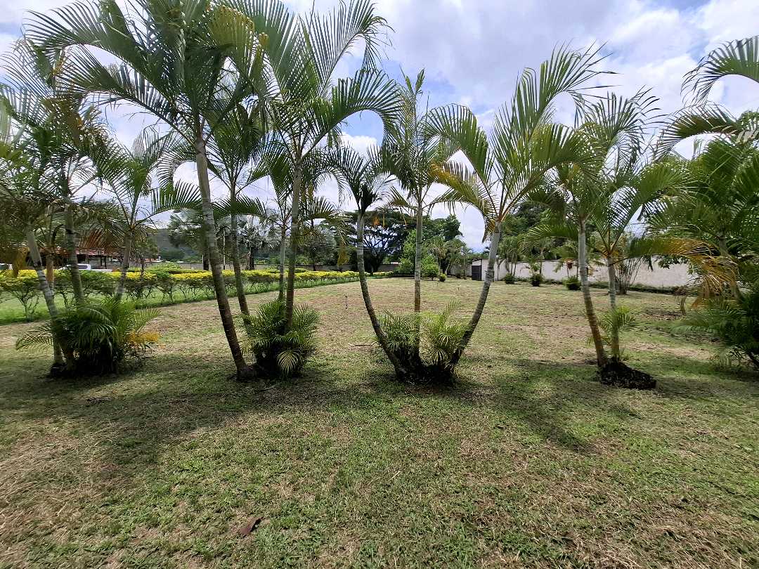 Finca Agroturistica en Venta Montalban Carabobo WC-9102981 - Foto 4