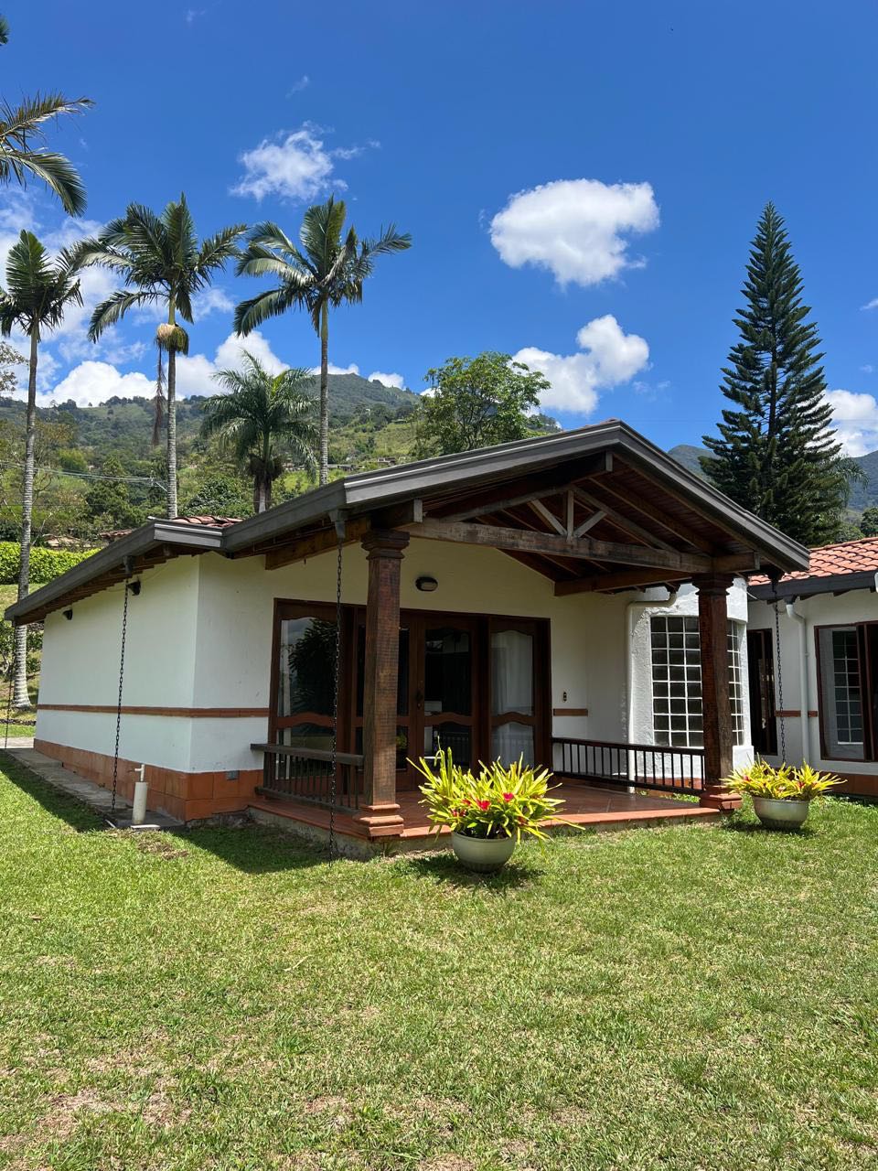 Miniatura 23