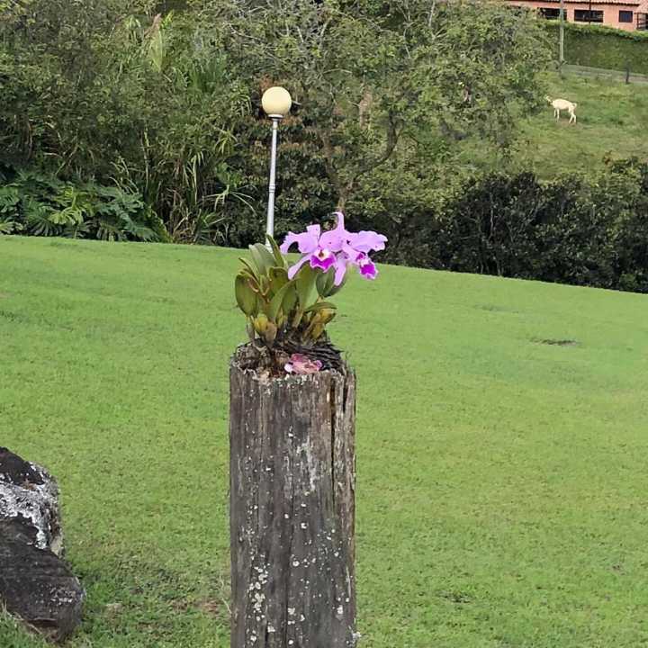 Foto 4 de Finca En Copacabana Vereda El Zarzal