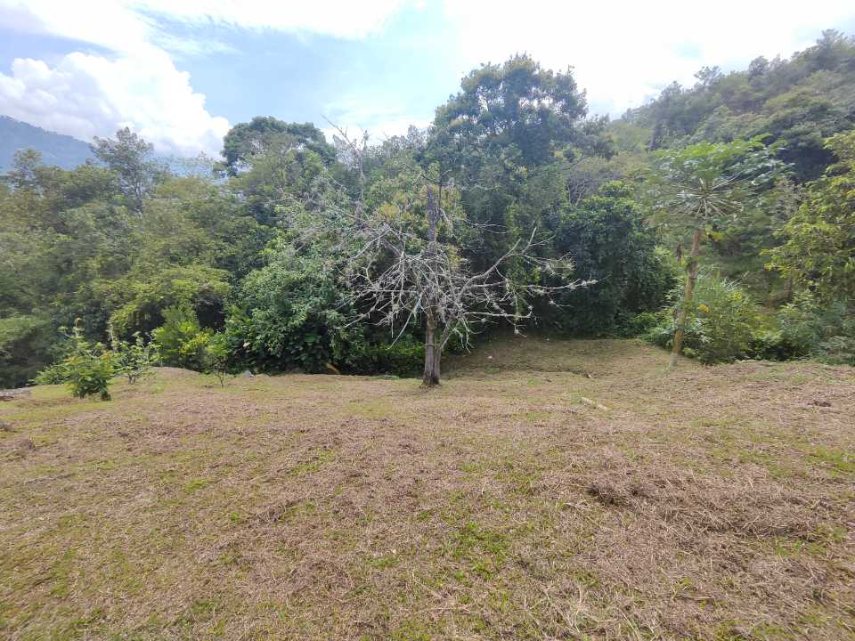 Foto 2 de Finca En Girardota Vereda El Totumo