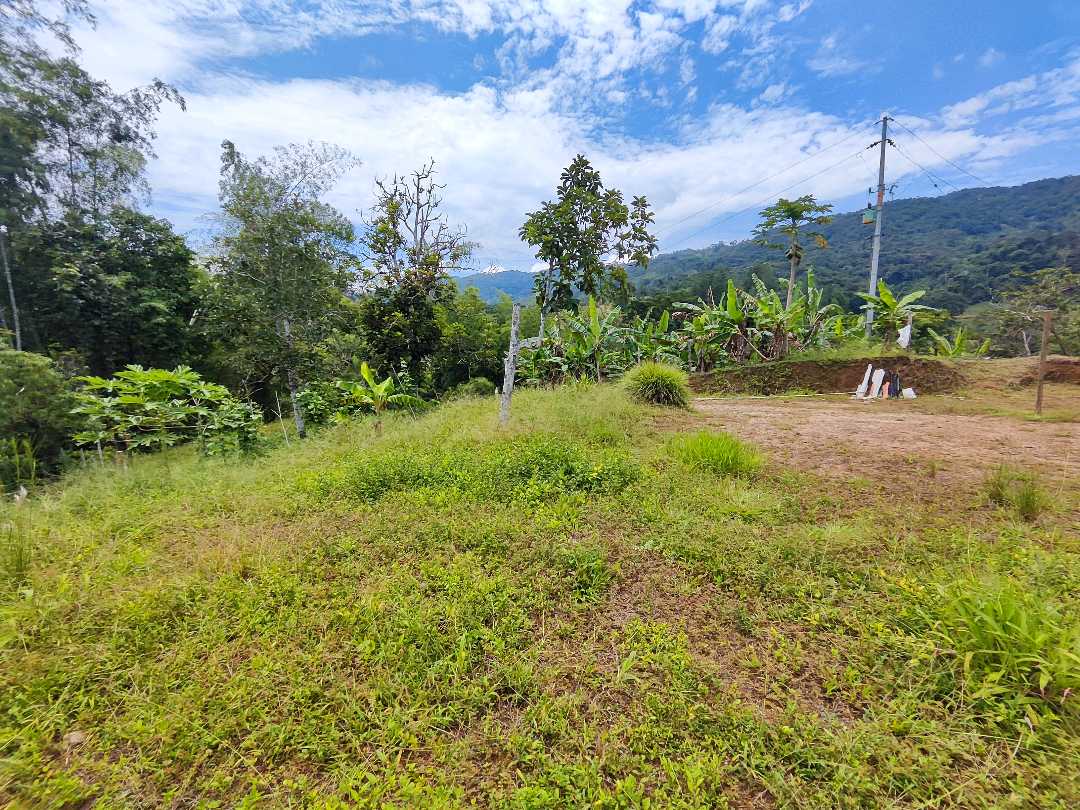 Foto 4 de Finca En San Rafael Vereda Jaguas