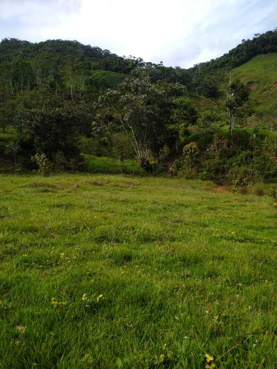 Foto 2 de Finca En San Roque
