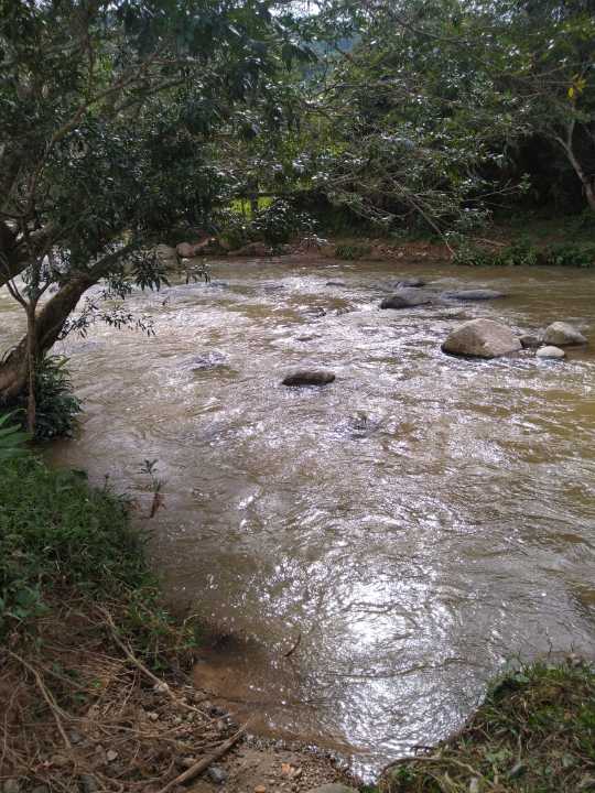 Foto 4 de Finca En San Roque