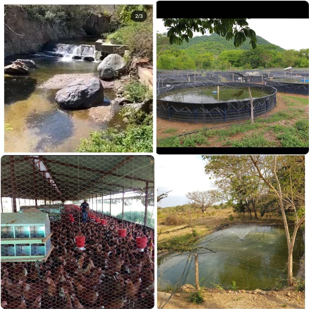 FINCA EN VENTA EN PUEBLO BELLO - VALLEDUPAR