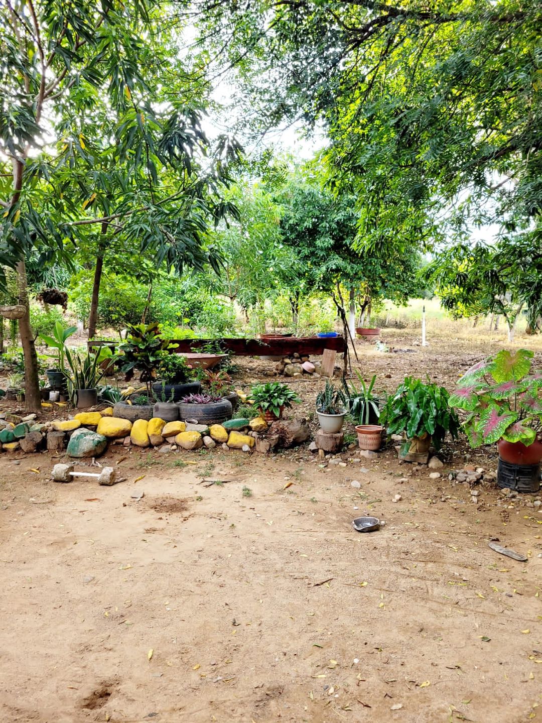 FINCA EN VENTA EN PUEBLO BELLO - VALLEDUPAR