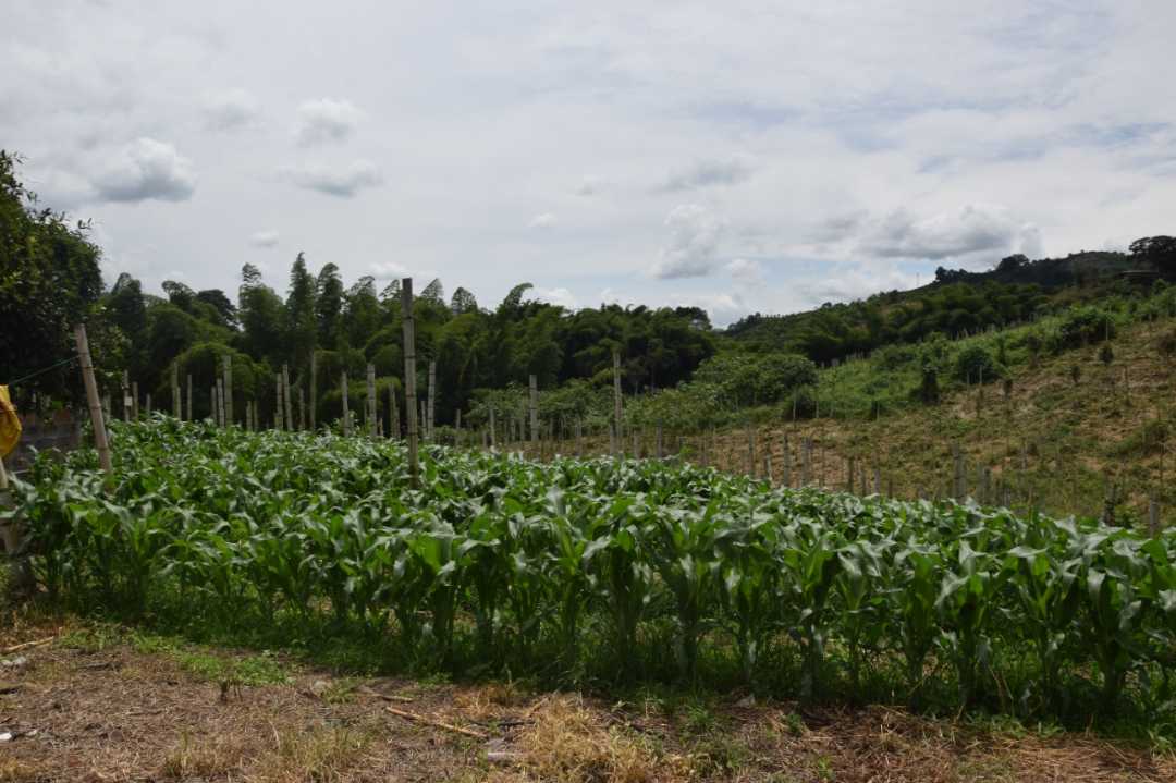 Finca en Venta La Cabaña