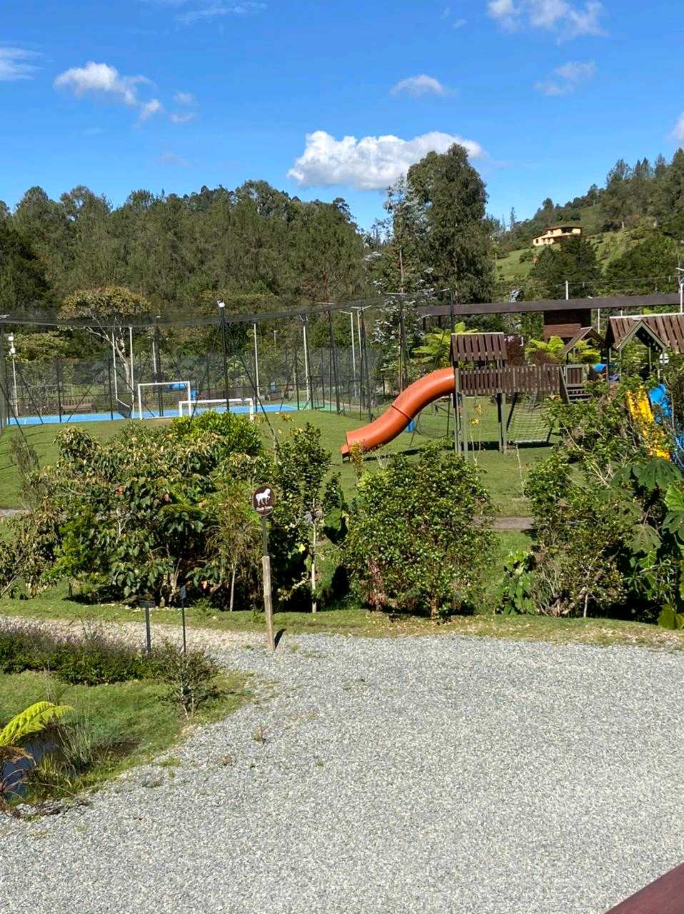 Miniatura 24