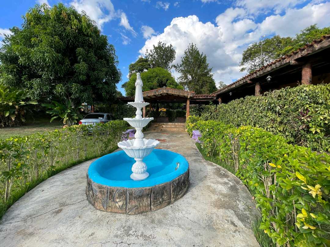 Finca en venta en sabana del medio LYM-9754834 - Foto 6