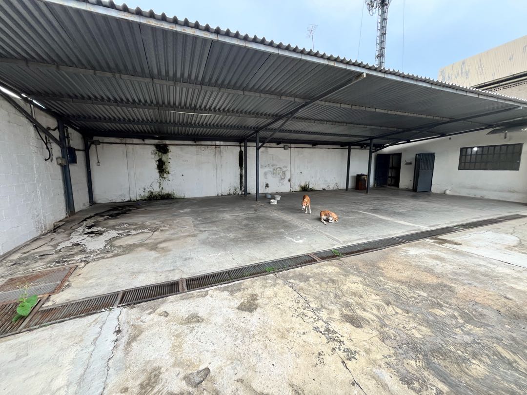 Galpon en Alquiler Urb. Santa Rosa DM-9519265 - Foto 9